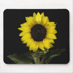 Sonnenblume 11 mousepad