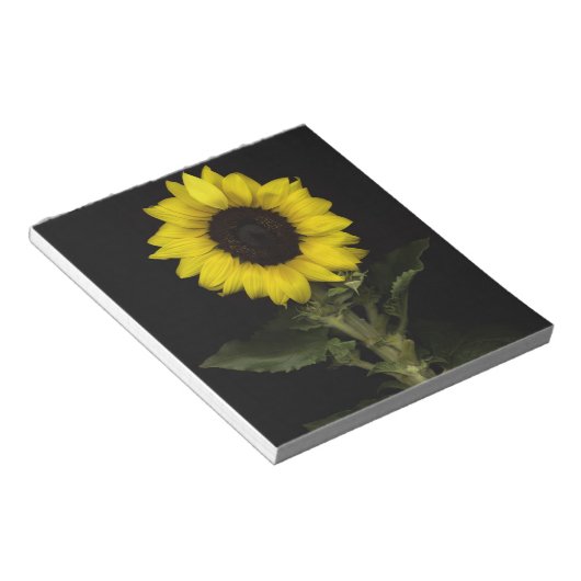 Sonnenblume 11 notizblock (angewinkelt)