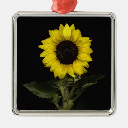 Sonnenblume 11 ornament aus metall (Vorne)
