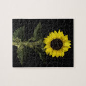Sonnenblume 11 puzzle (Horizontal)