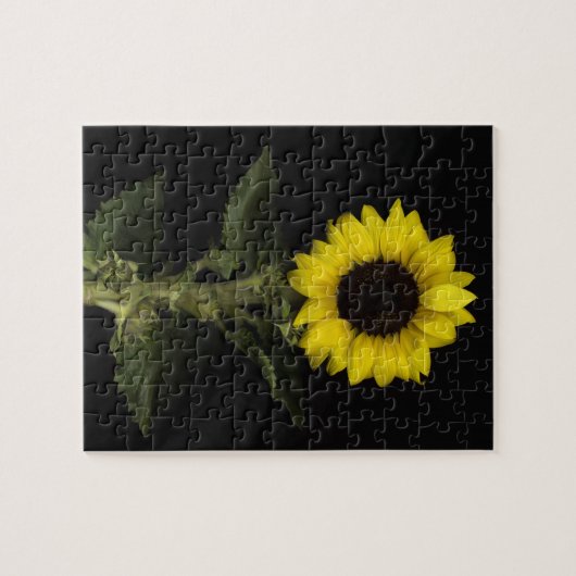 Sonnenblume 11 puzzle (Horizontal)