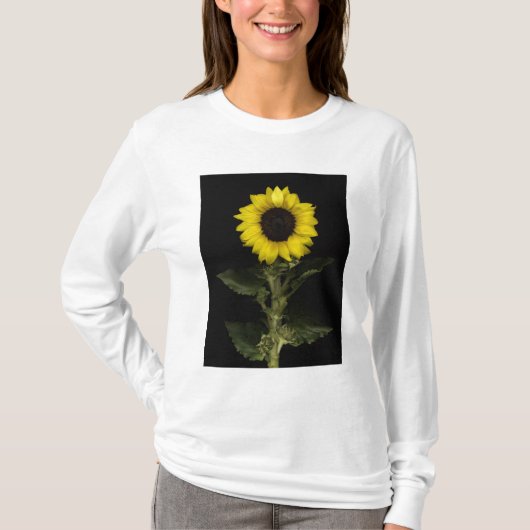 Sonnenblume 11 T-Shirt (Vorderseite)
