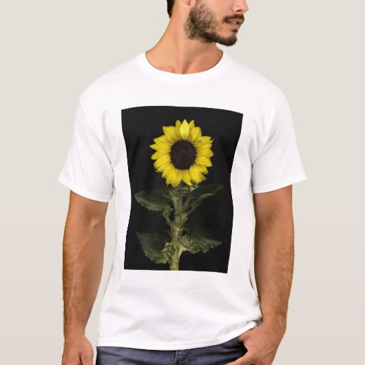 Sonnenblume 11 T-Shirt (Vorderseite)