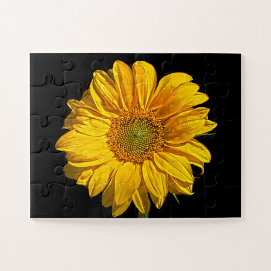Sonnenblume 11x14 30pc jpcna puzzle (Horizontal)