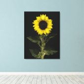 Sonnenblume 14 leinwanddruck (Insitu (Holzboden))