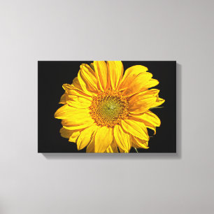 Sonnenblume 16,50x11(41,25x27,5cm) Waccn Leinwanddruck