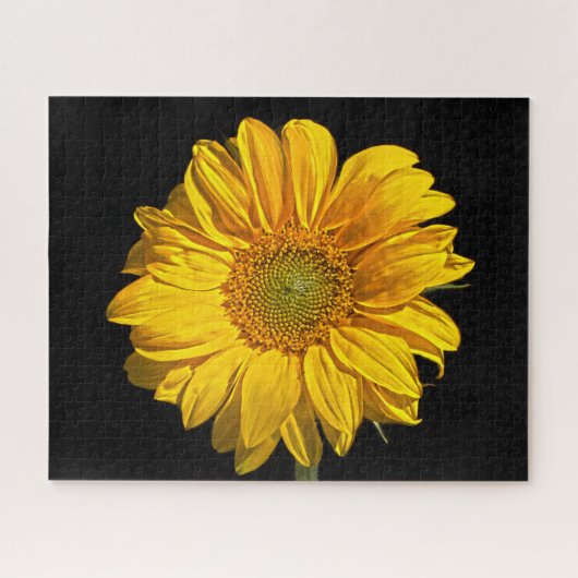 Sonnenblume 16x20 520pc jpcna puzzle (Horizontal)