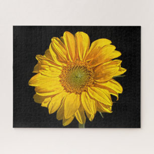 Sonnenblume 16x20 520pc jpcnm puzzle