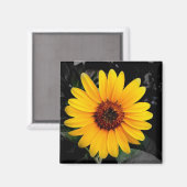 Sonnenblume 2 magnet (Vorderseite/Rückseite)