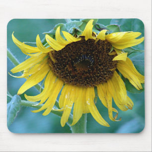 Sonnenblume 2 mousepad