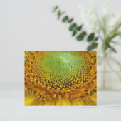 Sonnenblume 2 postkarte (Stehend Vorderseite)