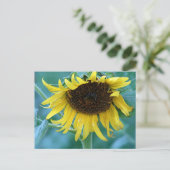 Sonnenblume 2 postkarte (Stehend Vorderseite)