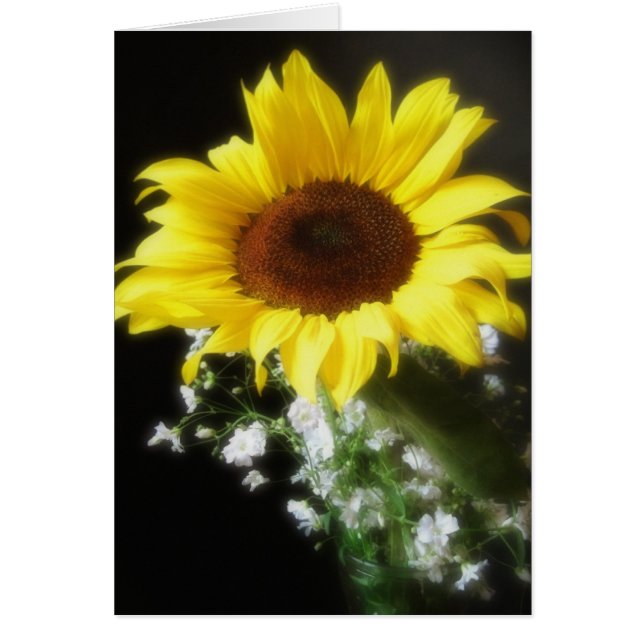 Sonnenblume 6 (Vorne)