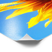 Sonnenblume Aflamme 10x8 Fotodruck (Ecke)