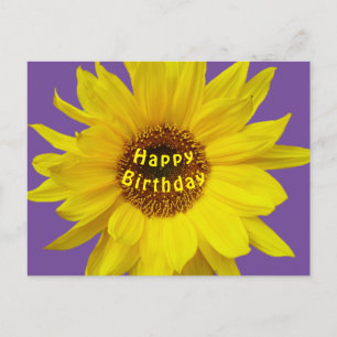 Sonnenblume Alles Gute zum Geburtstag Postkarte