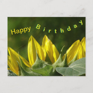 Sonnenblume Alles Gute zum Geburtstag Postkarte