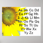 Sonnenblume Alphabet Chart Poster (Vorne)