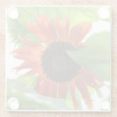 Sonnenblume am Nachmittag Glasuntersetzer (Rückseite)