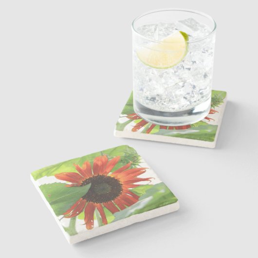 Sonnenblume am Nachmittag Steinuntersetzer (Seitenansicht)