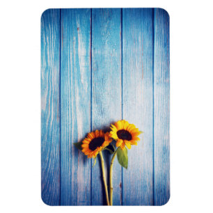 Sonnenblume an der blauen Holzwand Magnet