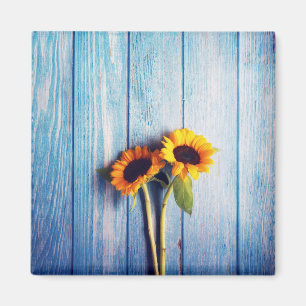 Sonnenblume an der blauen Holzwand Magnet