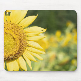 Sonnenblume an einem sonnigen Tag Mousepad