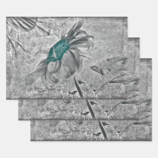 Sonnenblume Aquamarin Grau Vintag antike Textur Geschenkpapier Set (Set)