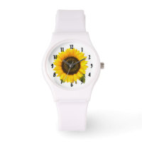 Sonnenblume