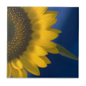 Sonnenblume auf blau fliese (Vorderseite)