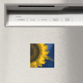 Sonnenblume auf blau magnet (In Situ (Geschirrspüler))