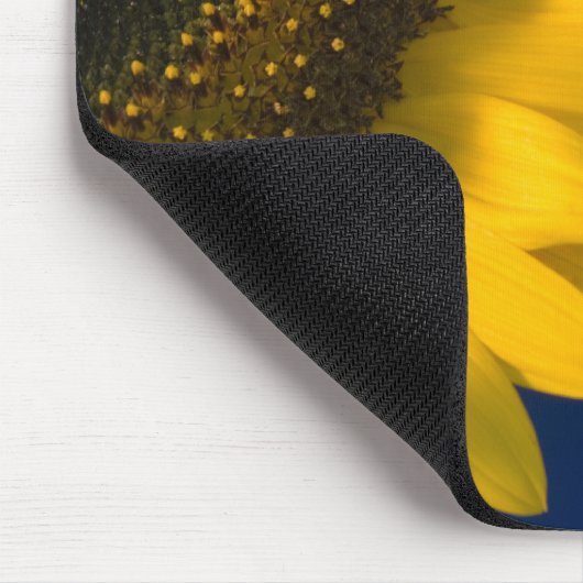Sonnenblume auf blau mousepad (Ecke)
