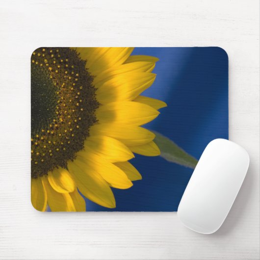 Sonnenblume auf blau mousepad (Mit Mouse)