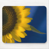 Sonnenblume auf blau mousepad (Vorne)