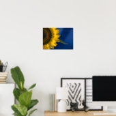 Sonnenblume auf blau poster (Heimbüro)