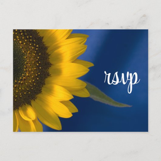 Sonnenblume auf Blue Wedding RSVP Response Einladungspostkarte (Vorderseite)