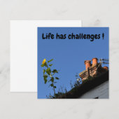 Sonnenblume auf dem Dach. (Vorne/Hinten)