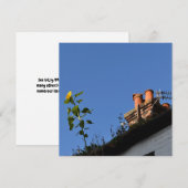 Sonnenblume auf dem Dach. (Vorne/Hinten)