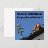 Sonnenblume auf dem Dach. (Vorne/Hinten)