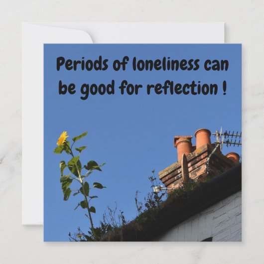 Sonnenblume auf dem Dach. (Vorderseite)