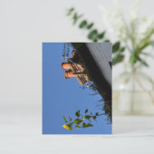 Sonnenblume auf dem Dach. Postkarte (Stehend Vorderseite)
