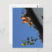 Sonnenblume auf dem Dach. Postkarte (Vorne/Hinten)