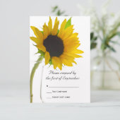 Sonnenblume auf der RSVP-Antwortkarte für White We RSVP Karte (Stehend Vorderseite)