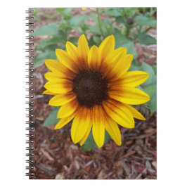 Sonnenblume auf einem Notebook Notizblock