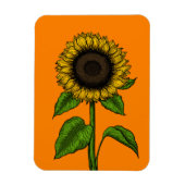 Sonnenblume auf Orange Magnet (Vertikal)
