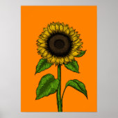 Sonnenblume auf Orange Poster (Vorne)