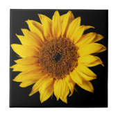 Sonnenblume auf schwarzem Hintergrund Fliese (Vorderseite)