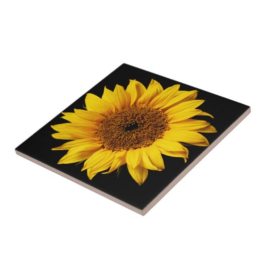 Sonnenblume auf schwarzem Hintergrund Fliese (Seite)