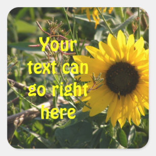 Sonnenblume-Aufkleber Quadratischer Aufkleber