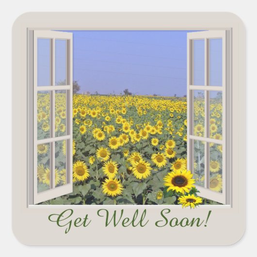 Sonnenblume aus Sonnenblumen durch offenes Fenster Quadratischer Aufkleber (Vorderseite)