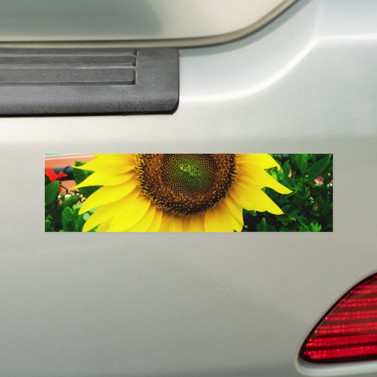Sonnenblume Autoaufkleber (Auf Auto)